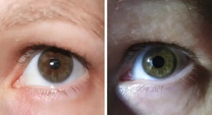 20 подтверждений того, что время несется быстрее, чем олимпийские бегуны