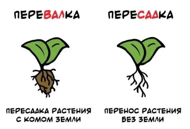 Интересные факты на все случаи жизни