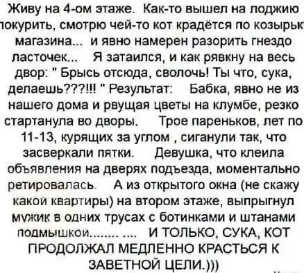 Картинки и мемы для настроения