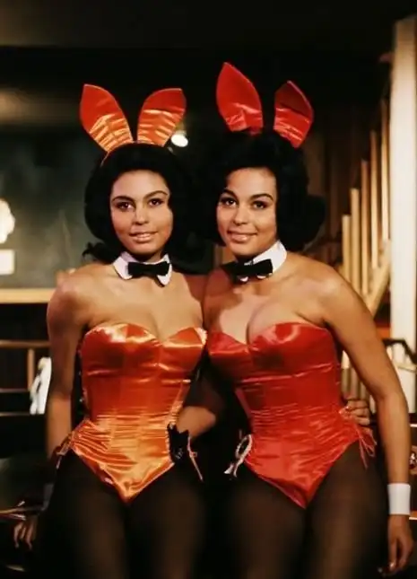 Плейбойных зайчиков подборка