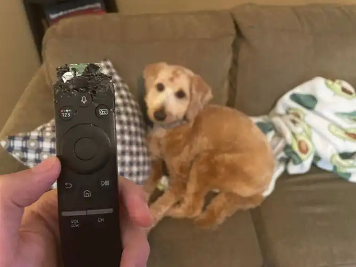 17 невезунчиков, которых фортуна занесла в черный список