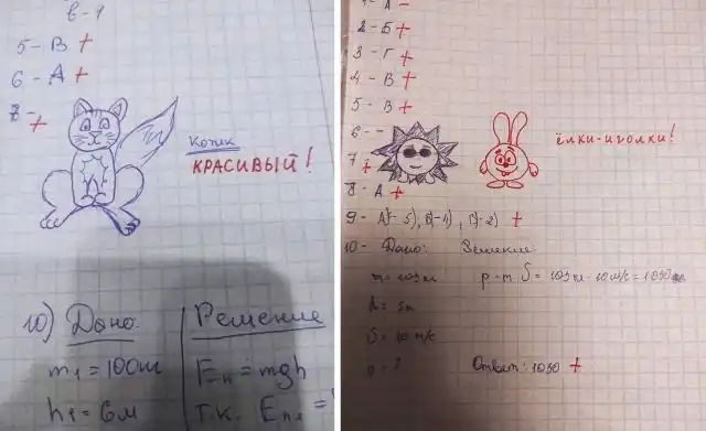 Преподавательница физики из тюменского колледжа придумала необычный способ успокоить студентов перед контрольной