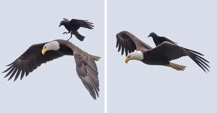 16 снимков, которые поражают воображение