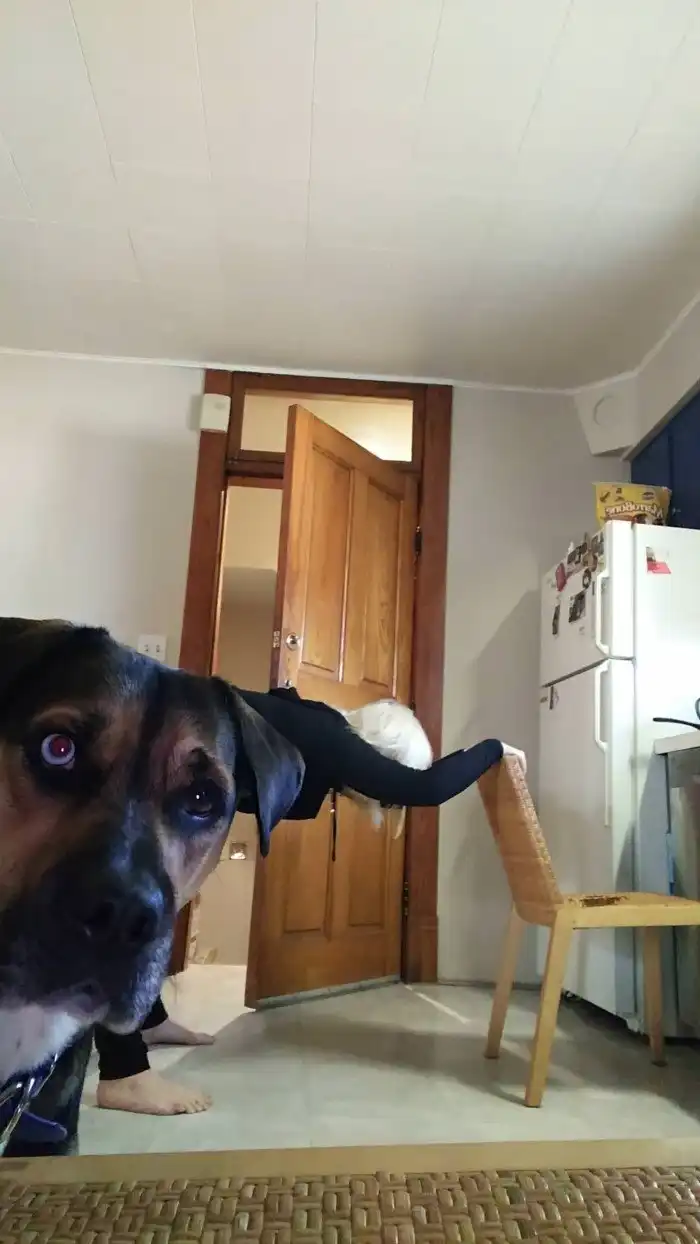 15 ситуаций, когда что-то неожиданно пошло не так