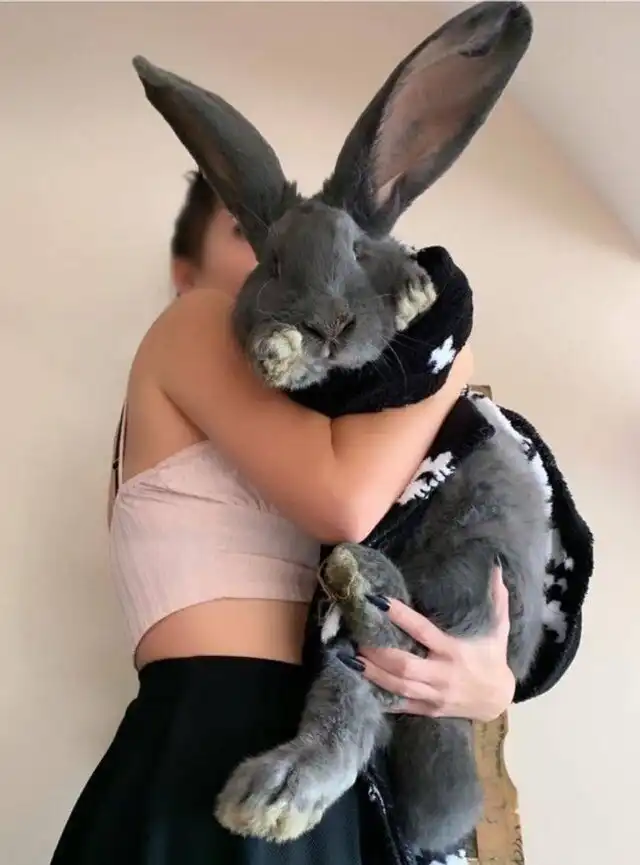 Смотри, что нашел: 30 интересных находок, которыми поделились в сети