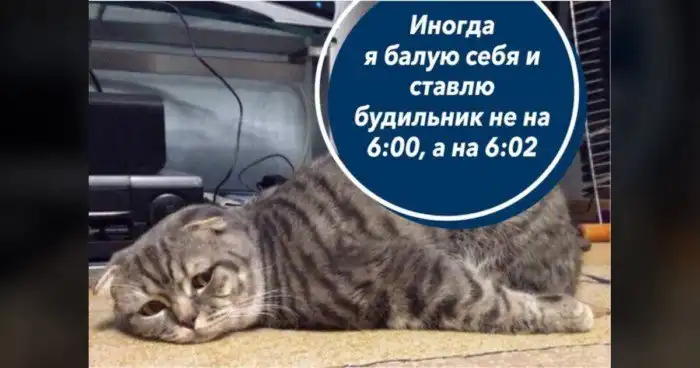 Всё о работе в офисе: ни цветмета украсть, ни бухнуть в бытовке