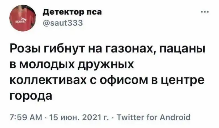 Всё о работе в офисе: ни цветмета украсть, ни бухнуть в бытовке