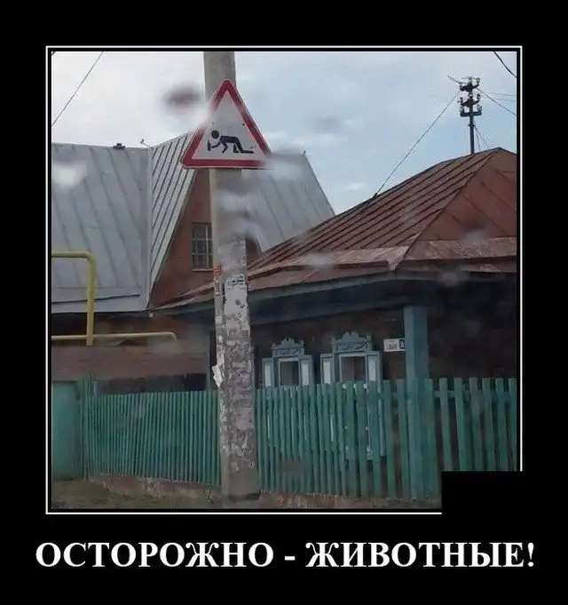 Демотиваторы