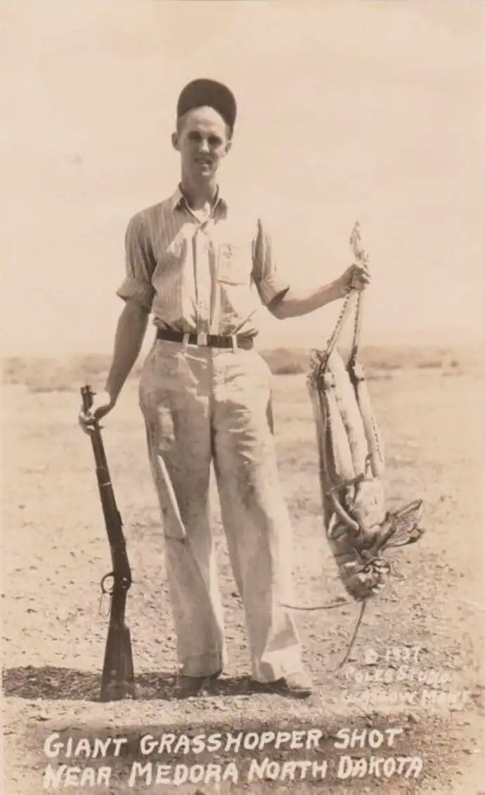 Из какой газеты и зачем пошёл фейк про гигантского кузнечика