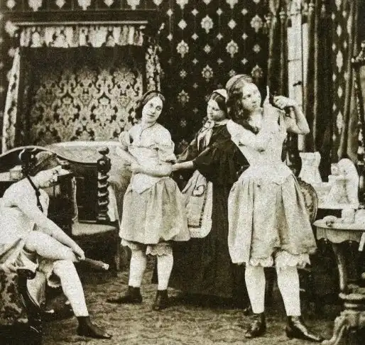 Роль проституции в экономическом и социальном развитии Дикого Запада