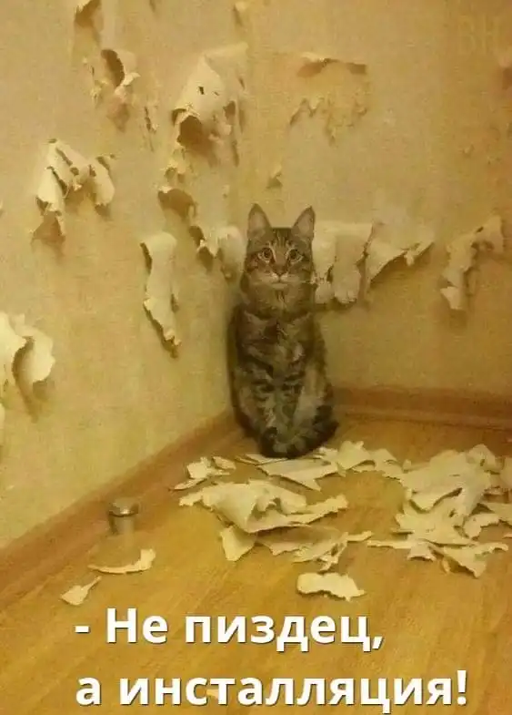 Всяческие картинки