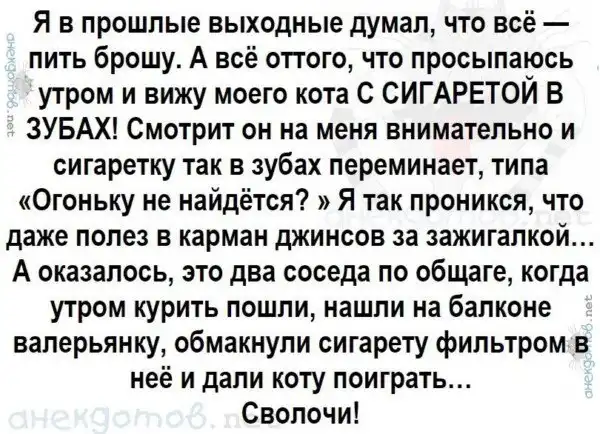 Анекдоты - лучшее от "анекдотовнет"