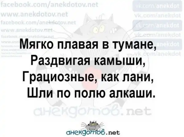 Анекдоты - лучшее от "анекдотовнет"