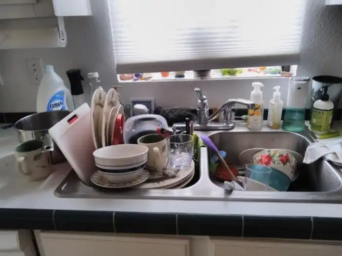 19 домочадцев, чьи бытовые привычки способны вывести из себя даже тибетского монаха