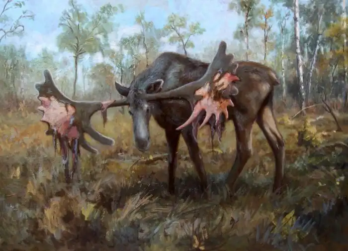 Оленелоси: Гиганты с бардаком на голове. Доистроические копытные с рогами-лопатами