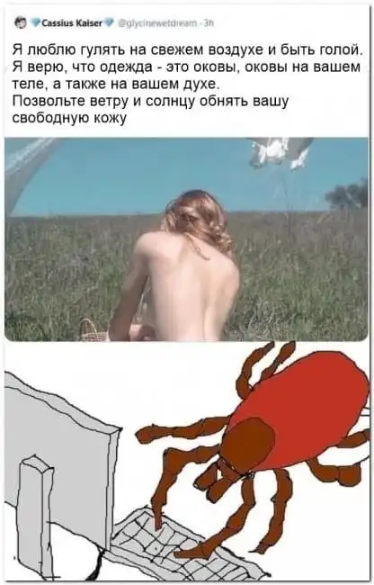 Баянисто-небаянистый юмор