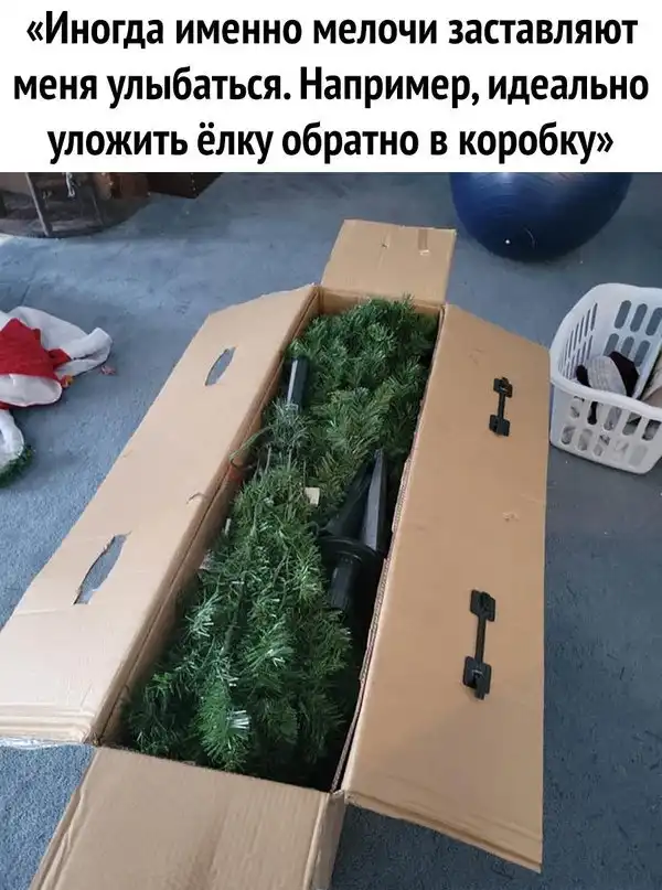 Картинки и мемы для настроения