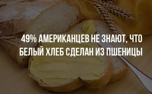 Краткие факты и интересные фотографии