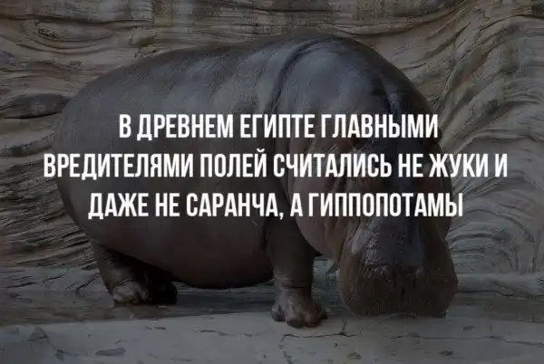 Краткие факты и интересные фотографии