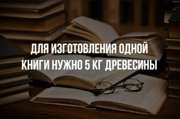 Краткие факты и интересные фотографии