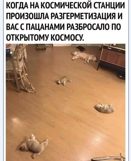 Картинки и мемы для настроения