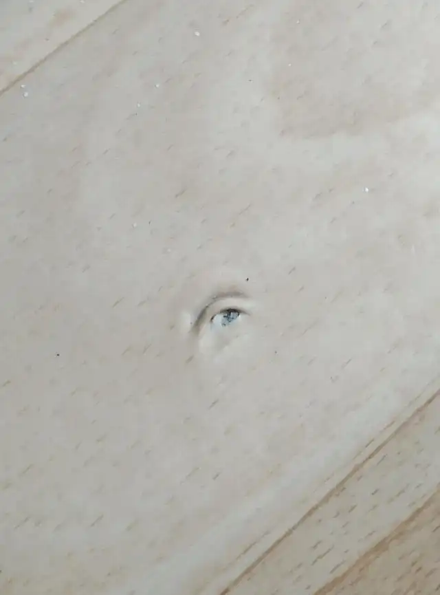 17 случаев, когда предметы выдали себя за что-то другое