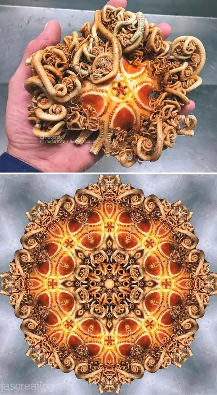 Российский рыбак показывает монстров из глубин