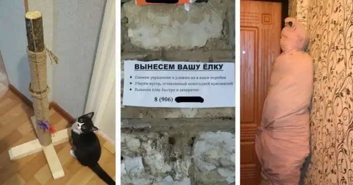 Собрались выкидывать елку? Остановитесь! Здесь собраны неплохие идеи