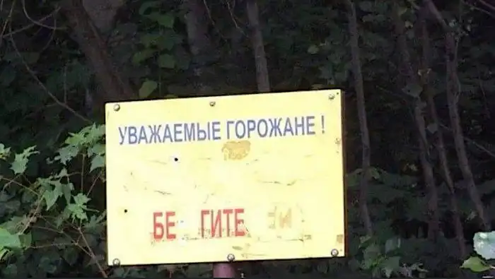 Почему дети умнее взрослых, и почему погибла экспедиция Скотта?