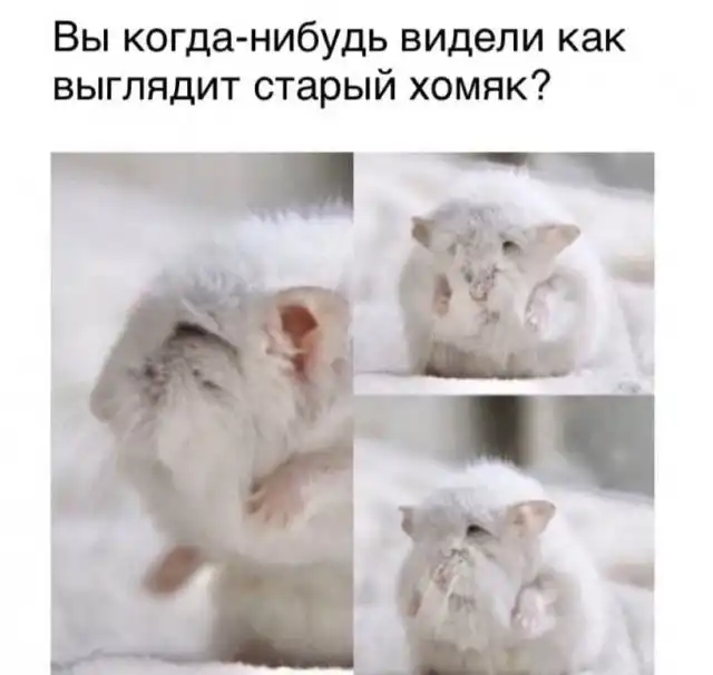 Рассуждения от пользователей о мире и его устройстве