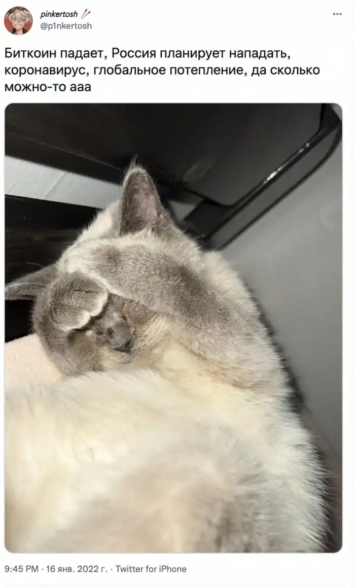 Когда купил Bitcoin по 60, или реакция на обвал рынка криптовалют