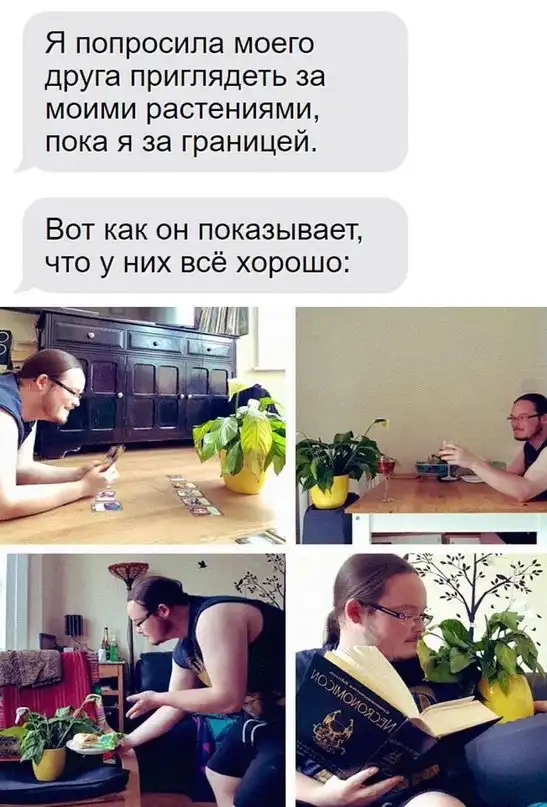 Картинки и мемы для настроения