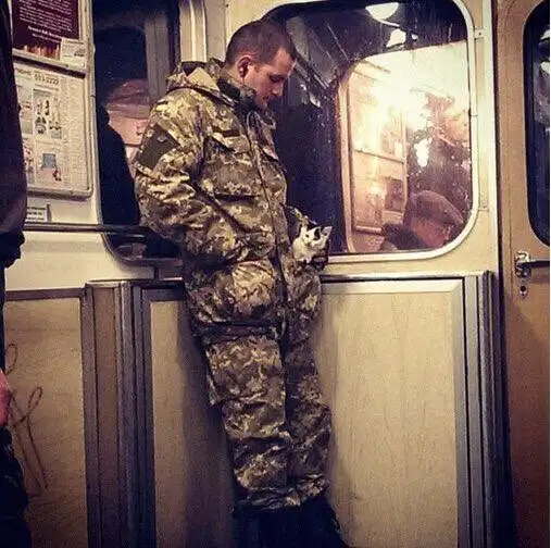 Так себе картинки