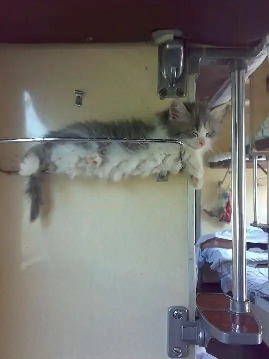 Железнодорожная романтика — под стук колес!