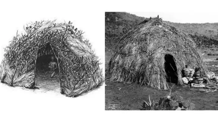 Кому в ледниковый период жилось хорошо