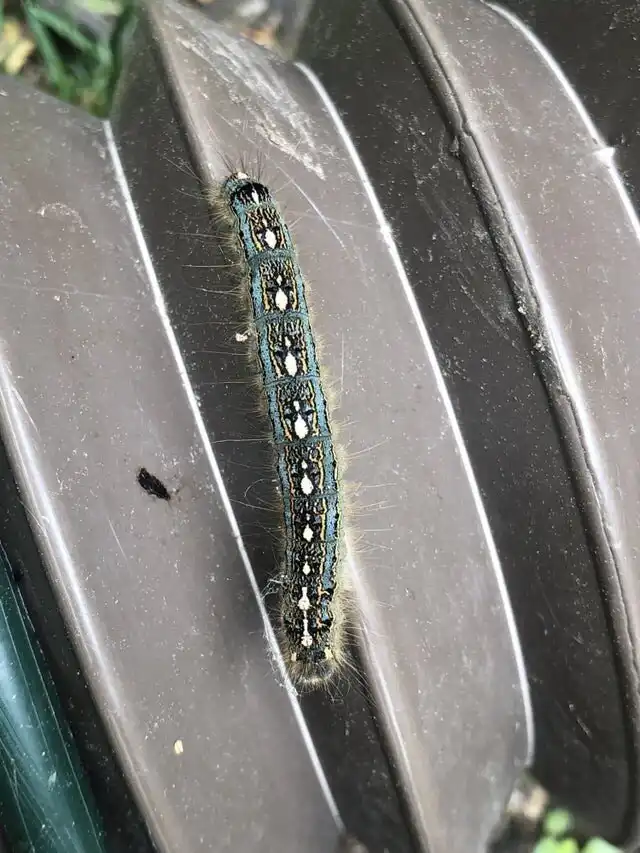 15 раз, когда люди сделали действительно необычные находки