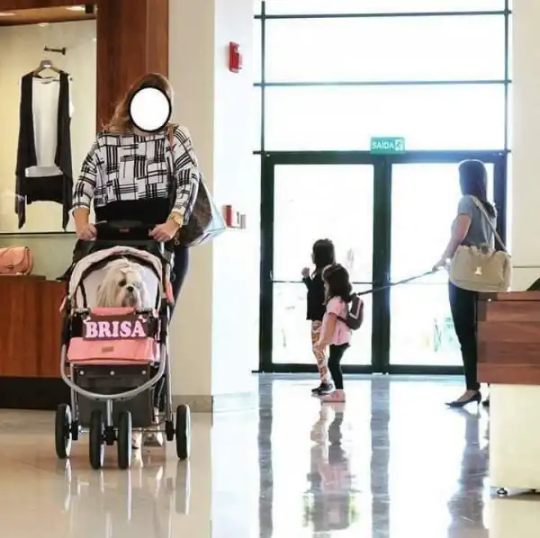 Подборка очень ироничных ситуаций