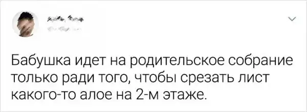 Подборка забавных твитов о родительских собраниях