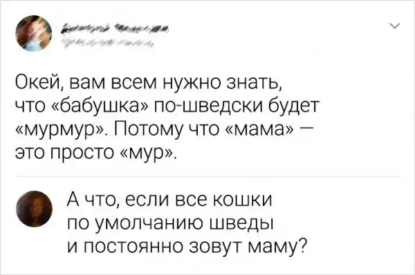 Подборка забавных твитов про иностранные языки