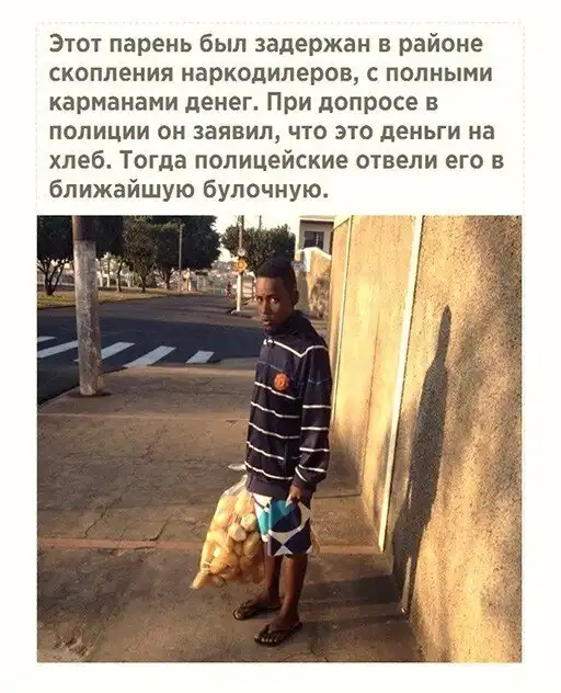 Смешные и познавательные картинки