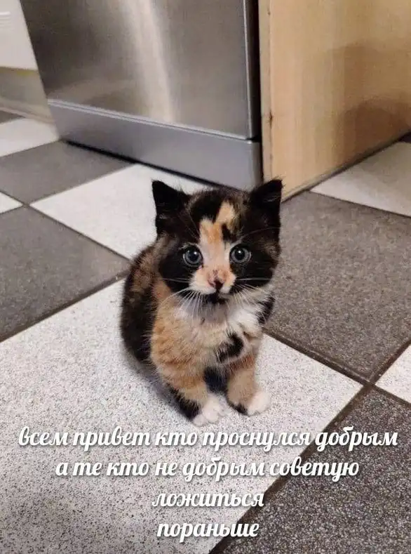 Нестандартный юмор :)