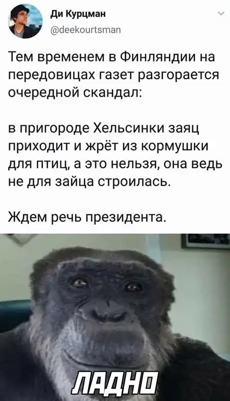 Весёлые