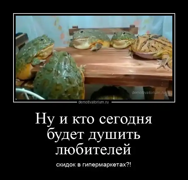 Демотиваторы