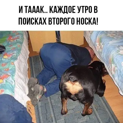 Баянисто-небаянистый юмор