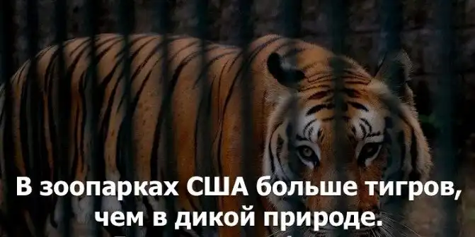 Краткие факты и интересные фотографии