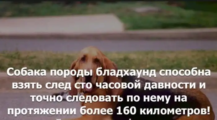 Краткие факты и интересные фотографии