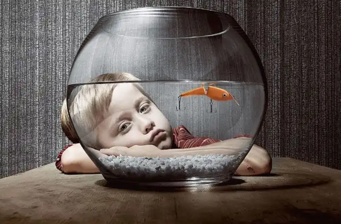 Бессмертные медузы, возбуждающий кофеин и жуткие сказки: интересные факты обо всём