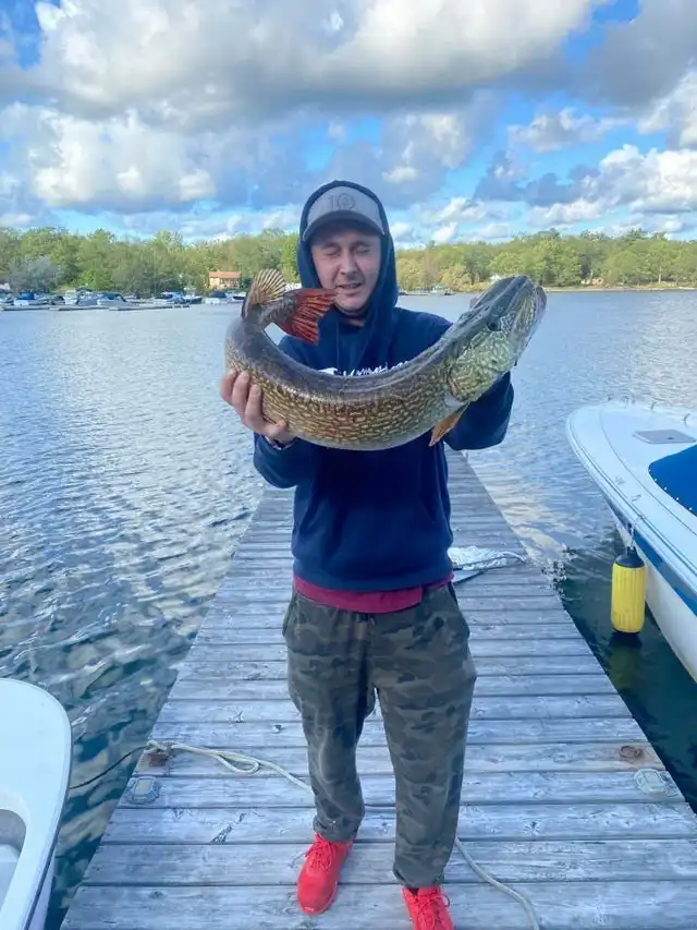 15 удачных кадров, сделанные в нужный момент