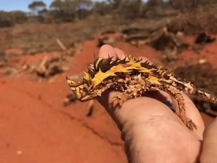 15 познавательных фотографий, которые расширят ваш кругозор