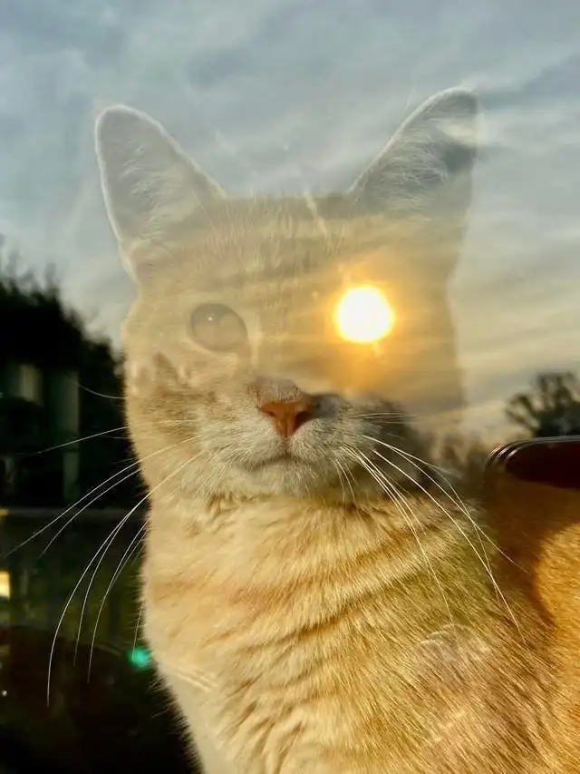 16 снимков, на которых был пойман максимально удачный момент